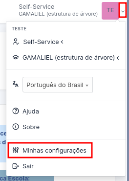 acessando-pagina-personalizacao-min.png